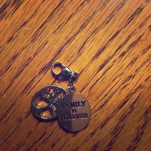 Origami Owl dangle charm
